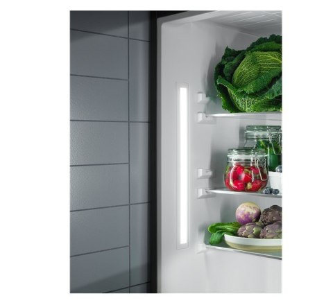 Chłodziarka ELECTROLUX LFB2AF88S Chłodziarka ELECTROLUX LFB2AF88S