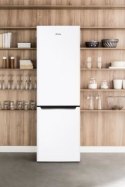 Lodówka Amica FK2995.2FT (545mm x 1800mm x 590 mm; 180l; Klasa A+; kolor biały)