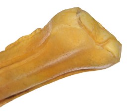 MACED Kość wędzona prasowana 16 cm - 1 szt.