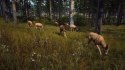 Way of the Hunter Elite Edition