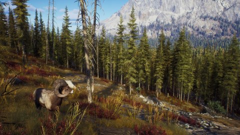 Way of the Hunter Elite Edition Way of the Hunter Elite Edition