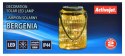 Lampion solarny LED Activejet AJE-BERGENIA