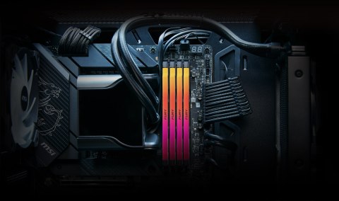KINGSTON Fury DDR5 16GB 6400MHz CL32 Renegade KINGSTON Fury DDR5 16GB 6400MHz CL32 Renegade