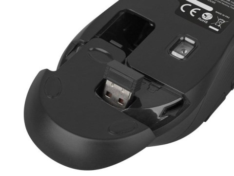 Zestaw klawiatura + mysz membranowa NATEC Stingray NZB-1440 (USB (Radio 2.4 GHz); (US); kolor czarny; optyczna; 1600 DPI, 800 DP Zestaw klawiatura + mysz membranowa NATEC Stingray NZB-1440 (USB (Radio 2.4 GHz); (US); kolor czarny; optyczna; 1600 DPI, 800 DP