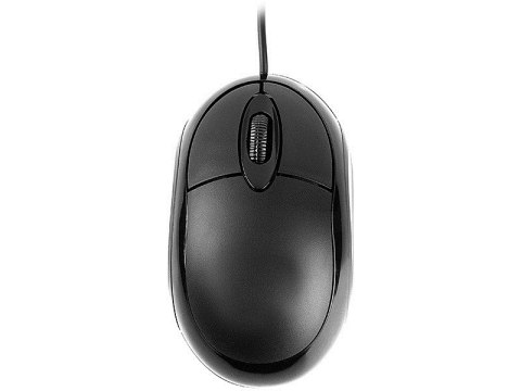 TRACER MYSZ PRZEWODOWA NEPTUN USB TRAMYS45906 TRACER MYSZ PRZEWODOWA NEPTUN USB TRAMYS45906