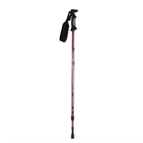 Kije Nordic Walking NILS NW802 Kije Nordic Walking NILS NW802