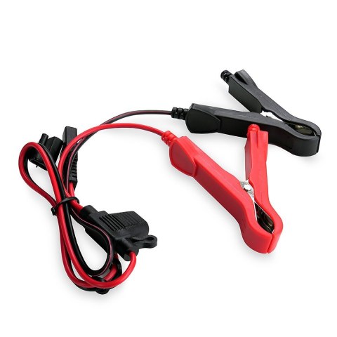 EVERACTIVE PROSTOWNIK SAMOCHODOWY AUTOMATYCZNY DO AKUMULATORA 6V/12V CBC5 EVERACTIVE PROSTOWNIK SAMOCHODOWY AUTOMATYCZNY DO AKUMULATORA 6V/12V CBC5