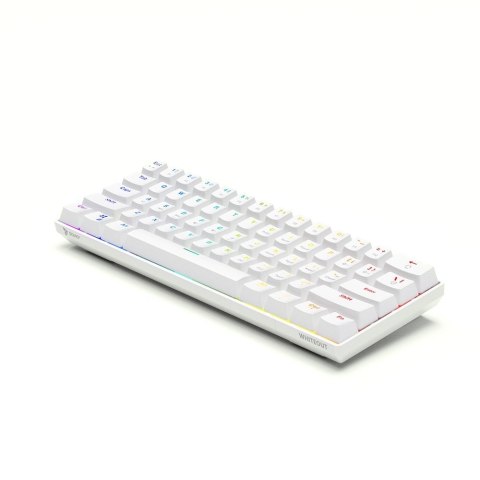 SAVIO KLAWIATURA MECHANICZNA BLUE OUTEMU WHITEOUT SAVIO KLAWIATURA MECHANICZNA BLUE OUTEMU WHITEOUT