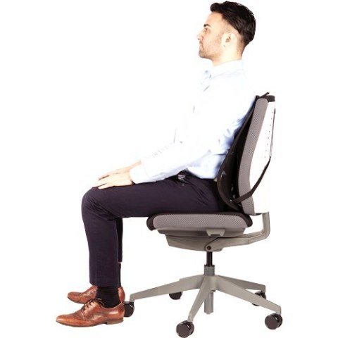 Fellowes Ergonomia podpórka poduszka pod plecy siatkowa profesjonalna Fellowes Ergonomia podpórka poduszka pod plecy siatkowa profesjonalna