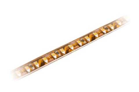 Taśma w żelu LED Activejet AJE-Z300L3528WCI (180 lm; Biały zimny; 5m; 4 W; IP65) Taśma w żelu LED Activejet AJE-Z300L3528WCI (180 lm; Biały zimny; 5m; 4 W; IP65)