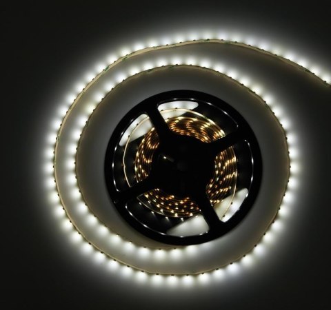Taśma w żelu LED Activejet AJE-Z300L3528WCI (180 lm; Biały zimny; 5m; 4 W; IP65) Taśma w żelu LED Activejet AJE-Z300L3528WCI (180 lm; Biały zimny; 5m; 4 W; IP65)