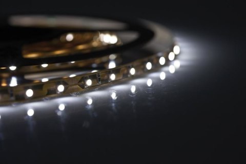 Taśma w żelu LED Activejet AJE-Z300L3528WCI (180 lm; Biały zimny; 5m; 4 W; IP65) Taśma w żelu LED Activejet AJE-Z300L3528WCI (180 lm; Biały zimny; 5m; 4 W; IP65)