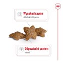 ROYAL CANIN SHN Mini Adult - sucha karma dla psa - 8 kg