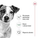 ROYAL CANIN SHN Mini Adult - sucha karma dla psa - 8 kg