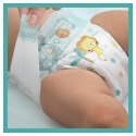 Pampers Zestaw pieluch Active Baby MTH Box 5 (11-16 kg); 150