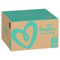 Pampers Zestaw pieluch Active Baby MTH Box 5 (11-16 kg); 150