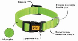 DINGO Obroża 1,6 x 35cm(20-32) zielona