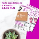 Urządzenie wielofunkcyjne HP DeskJet Plus 4120E All-in-One 26Q90B