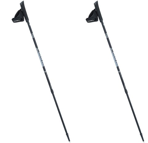 Kije Viking Valo Pro Nordic Walking czarno/srebrne Kije Viking Valo Pro Nordic Walking czarno/srebrne