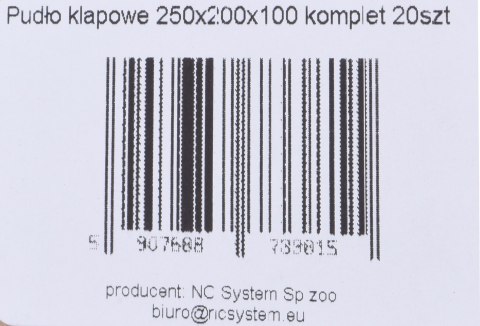 Pudło klapowe, karton 250x200x100 mm komplet 20szt Pudło klapowe, karton 250x200x100 mm komplet 20szt