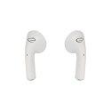 ESPERANZA SŁUCHAWKI DOUSZNE BLUETOOTH TWS ANTHE WHITERDERA EH237W
