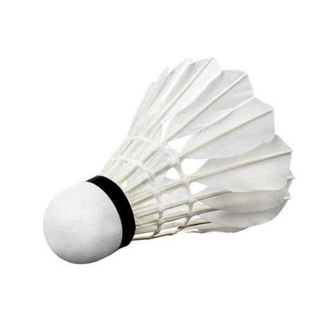 Lotki z piór WISH S505-12 szt. Lotki z piór WISH S505-12 szt.