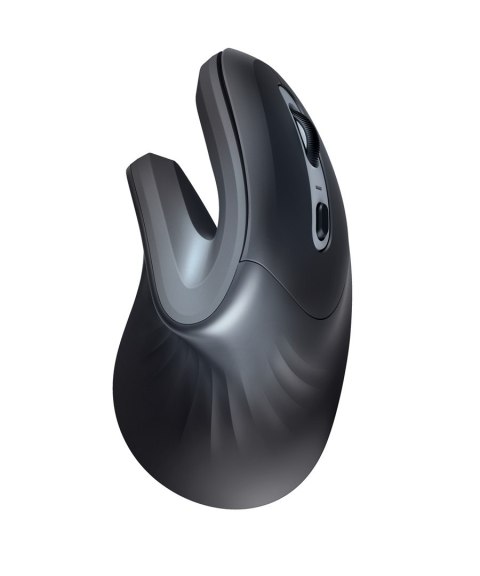 Mysz TRUST Verro Ergonomic Wireless Mouse Mysz TRUST Verro Ergonomic Wireless Mouse