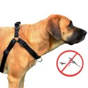 DINGO szelki "easy walk" roz.85(61-90cm) czarne