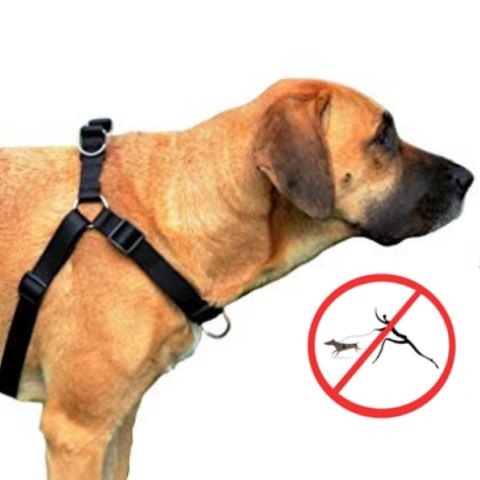DINGO szelki "easy walk" roz.85(61-90cm) czarne DINGO szelki "easy walk" roz.85(61-90cm) czarne