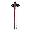 Kije Nordic Walking NILS CAMP NW802