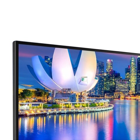 MONITOR LG LED 29" 29WP500-B MONITOR LG LED 29" 29WP500-B