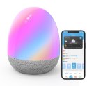 GOVEE H6057 LAMPA LED RGBICW, 100LM, 3000MAH, WI-FI, BLUETOOTH, ALEXA, GOOGLE ASSISTANT