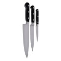 Zestaw 3 noży Zwilling Professional S