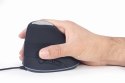 MOUSE USB OPTICAL SPACEGREY/ERGONOMIC MUS-ERGO-03 GEMBIRD