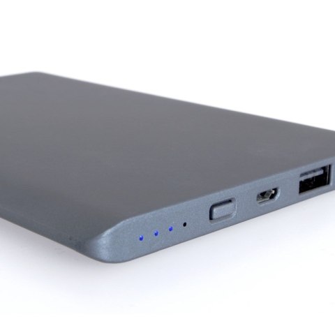 PowerNeed Powerbank (10000mAh) 2x USB grafitowy PowerNeed Powerbank (10000mAh) 2x USB grafitowy