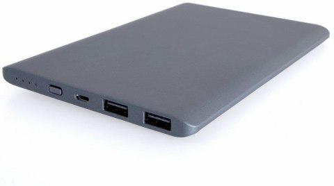 PowerNeed Powerbank (10000mAh) 2x USB grafitowy PowerNeed Powerbank (10000mAh) 2x USB grafitowy