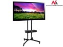 Stand wózek do TV Maclean, profesjonalny, do TV, na kółkach, max. VESA 600x400, max. 55kg, MC-661