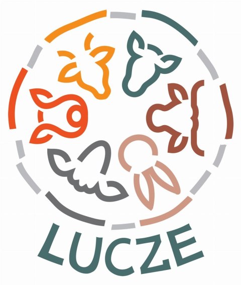 LUCZE Przysmak Uszy wieprzowe 10 szt dla psa LUCZE Przysmak Uszy wieprzowe 10 szt dla psa