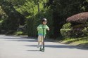 SCOOTER ELECTRIC ZING A6/AA.00.0011.62 SEGWAY NINEBOT