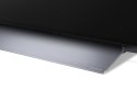 Telewizor 48" LG OLED48C31LA (WYPRZEDAŻ)
