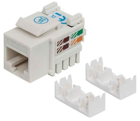 Moduł Keystone RJ45 UTP kat.5e do zarabiania Intellinet (biały)
