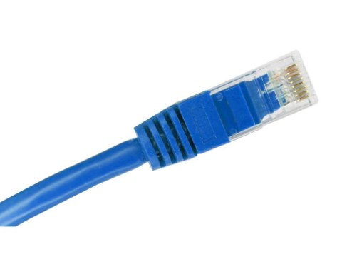 Patch-cord U/UTP kat.6A LSOH 0.25m niebieski ALANTEC Patch-cord U/UTP kat.6A LSOH 0.25m niebieski ALANTEC