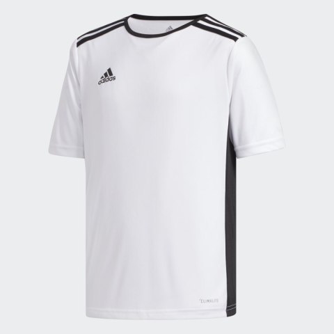Koszulka dla dzieci adidas Entrada 18 Jersey JUNIOR biała CF1044