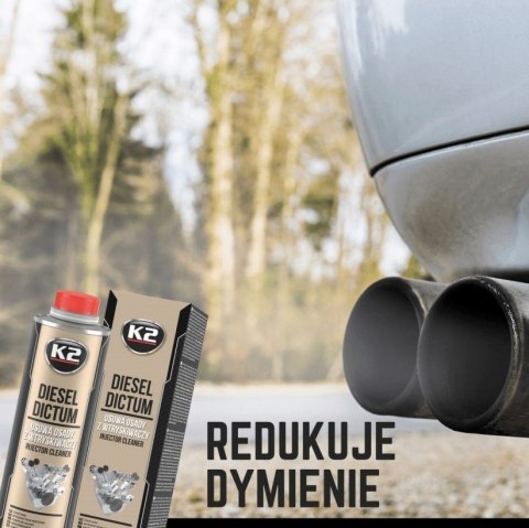 K2 PREPARAT DO CZYSZCZENIA WTRYSKÓW DIESEL DICTUM 500ML K2 PREPARAT DO CZYSZCZENIA WTRYSKÓW DIESEL DICTUM 500ML