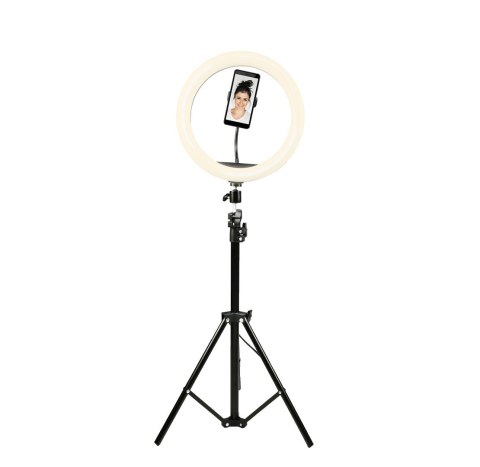 12" Lampa pierścieniowa LED Denver RLT-1201 Light Ring 12" Lampa pierścieniowa LED Denver RLT-1201 Light Ring