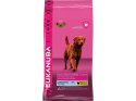 Eukanuba Euk DailyCare Adult Weight Control Large 15 kg