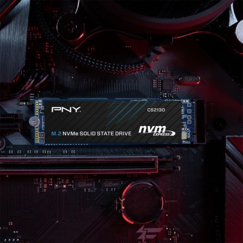 PNY CS2130 - 500 GB - PCI Express 3.0 x PNY CS2130 - 500 GB - PCI Express 3.0 x