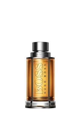 Hugo Boss The Scent Edt Spray 100 ml men