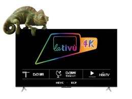 Telewizor 50