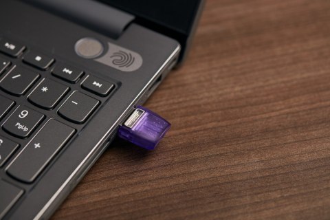 KINGSTON FLASH 256GB USB3.2 DataTraveler microDuo3C KINGSTON FLASH 256GB USB3.2 DataTraveler microDuo3C